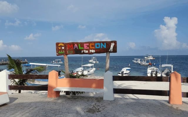 Snorkel in the turquoise Caribbean Sea in Puerto Morelos. Transport included photo 9