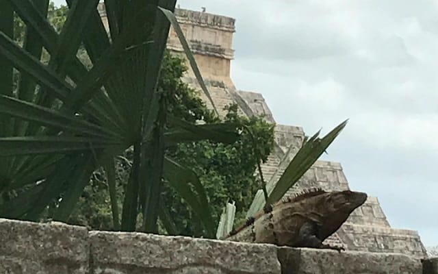 Expérience privée à Chichén Itzá photo 5