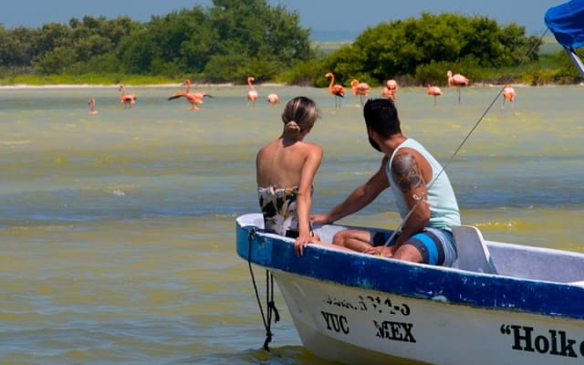 Tour to Las Coloradas Pink Waters and Boat Ride in Rio Lagartos with Lunch. photo 5