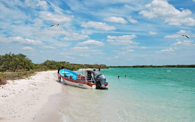 Paradisiacal tour: Las Coloradas Pink Lake and Rio Lagartos with Lunch included. photo 8