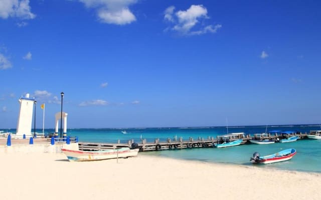 Snorkel in the second largest reef in the world Colorful tour in Puerto Morelos photo 6