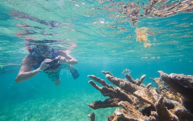 Puerto Morelos Half-Day Snorkel Tour photo 6