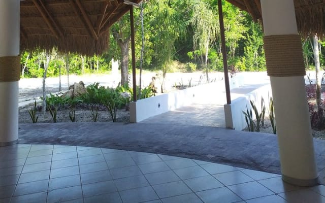 Salsa Classes Tulum and Bachata photo 9