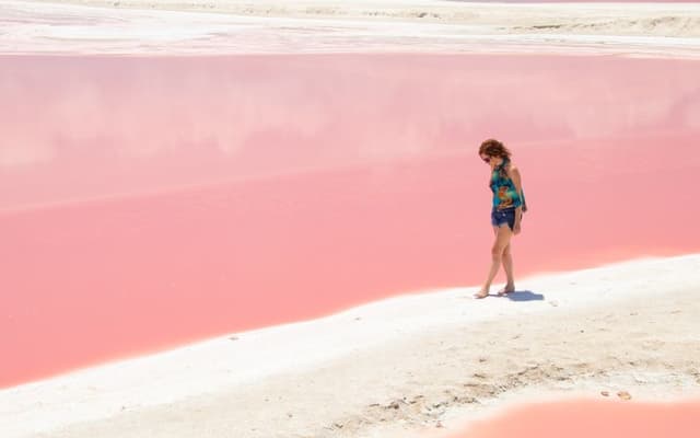 Rio Lagartos Biosphere + Coloradas Gorgeous Pink Lake! From Tulum photo 4