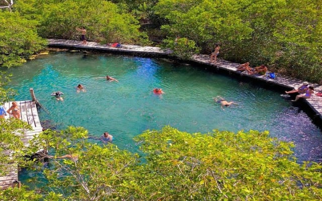 Holbox and Passion Island Full-Day Tour with Cenote, Transportation and Lunch photo 10