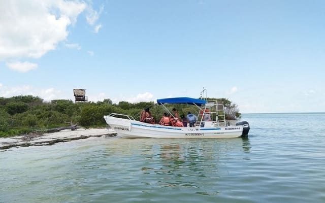 Holbox and Passion Island Full-Day Tour with Cenote, Transportation and Lunch photo 14