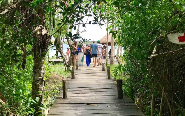 Explore the Mayan Jungle in Tulum. 2 Cenotes, Kaan Luum Lagoon photo 5