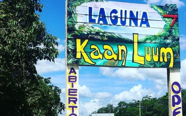 Explore the Mayan Jungle in Tulum. 2 Cenotes, Kaan Luum Lagoon photo 6