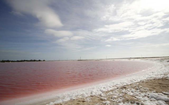 Paradisiacal tour: Las Coloradas Pink Lake and Rio Lagartos with Lunch included. photo 5