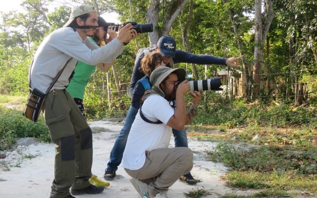 Birdwatching Sian Ka'an Biosphere Reserve photo 3