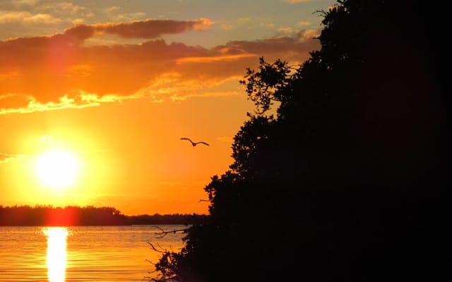 Kayak Sian Ka’an Biosphere Reserve Sunset Tour photo 7