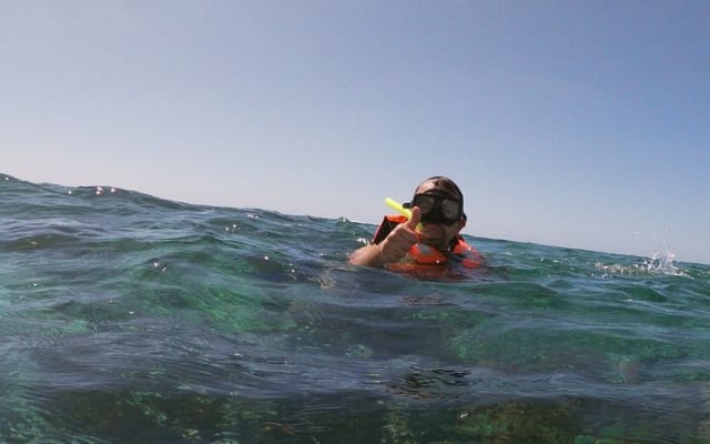 Guided Tour of Puerto Morelos Reefs with Snorkeling Experience photo 5