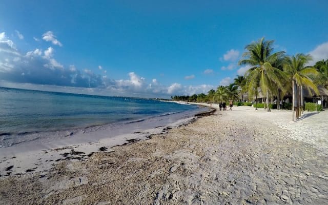 Private Cenote & Snorkeling Tour with Turtles in Akumal photo 3