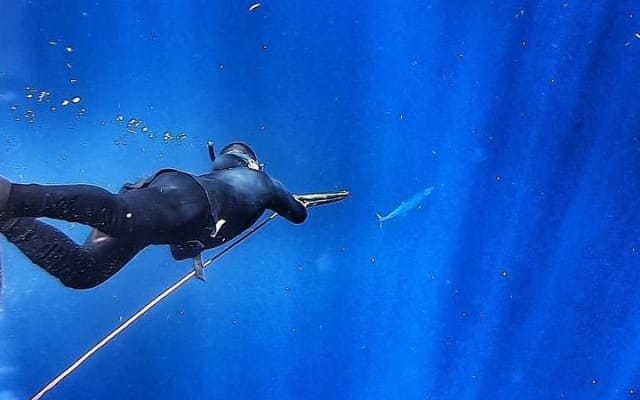 Spearfishing Playa del Carmen or Tulum photo 6
