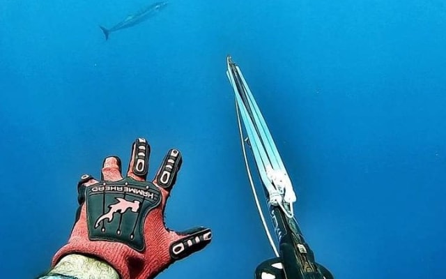 Spearfishing Playa del Carmen or Tulum photo 7