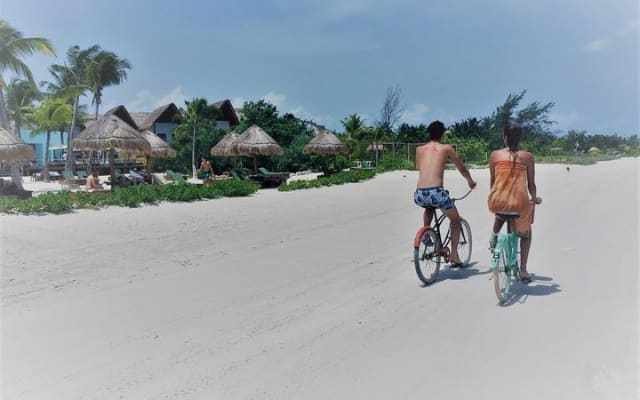 Enchanting Holbox Tour. Experience the paradisiacal beaches of the island. photo 11