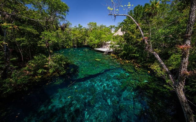 Private - Tulum Ruins and 3 Cenotes Jungle Adventure photo 6