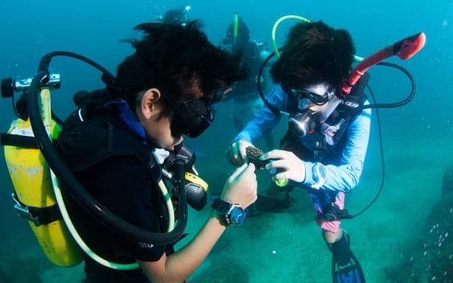 Plongée sous-marine privée à Puerto Vallarta photo 15