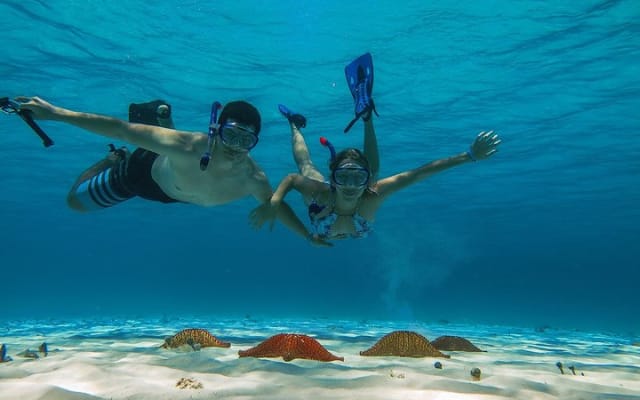 El Cielo Cozumel, a paradisiacal tour. Be amazed by the stars near to you. photo 8
