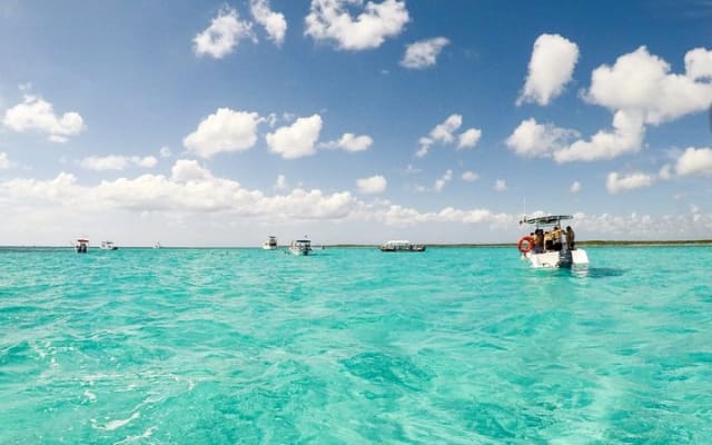 El Cielo Cozumel, a paradisiacal tour. Be amazed by the stars near to you. photo 11