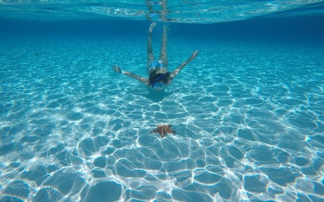 El Cielo Cozumel, a paradisiacal tour. Be amazed by the stars near to you. photo 10