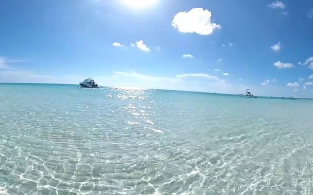El Cielo Cozumel, a paradisiacal tour. Be amazed by the stars near to you. photo 12