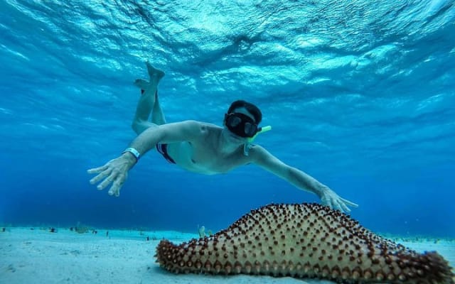 El Cielo Cozumel, a paradisiacal tour. Be amazed by the stars near to you. photo 3