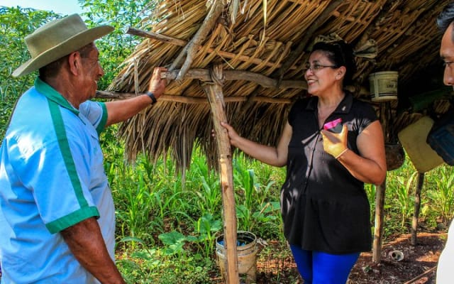 From the Milpa to Tourism: Farming, Cenote & Ek Balam Pyramids Tour photo 2