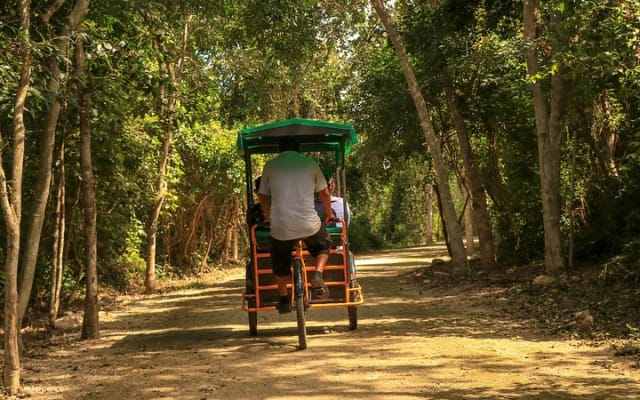 From the Milpa to Tourism: Farming, Cenote & Ek Balam Pyramids Tour photo 6