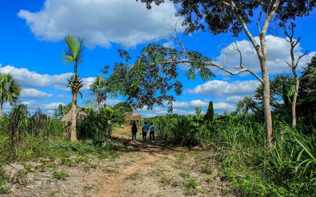 From the Milpa to Tourism: Farming, Cenote & Ek Balam Pyramids Tour photo 5