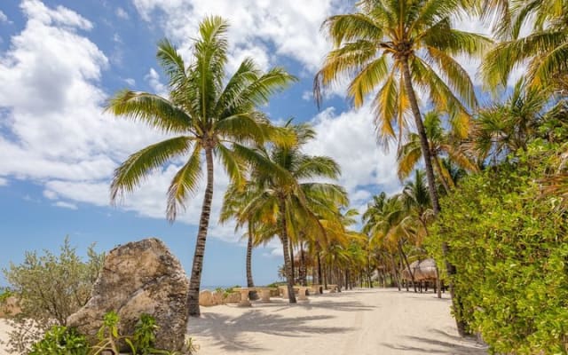 Visit the Mexican Caribbean and live the amazing experience with 3 ECO PARKS photo 7