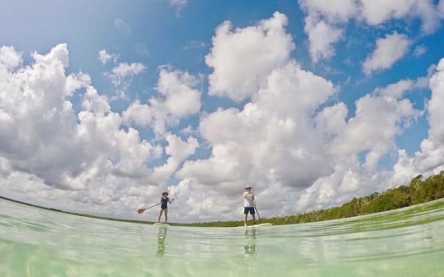 Lagoon Paddleboarding Tour in Tulum photo 5