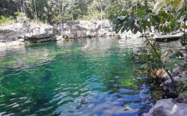 Private Cenotes Express photo 2
