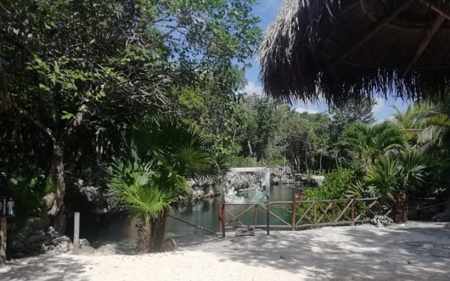 Private Cenotes Express photo 13