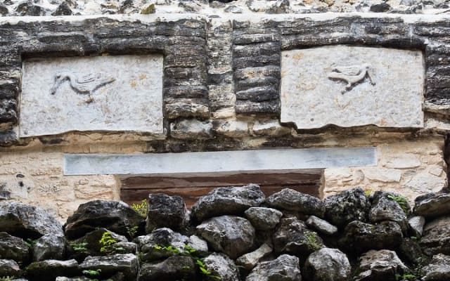 Birdwatching in Sian Ka´an Muyil from Tulum - Shared Group Tour photo 8