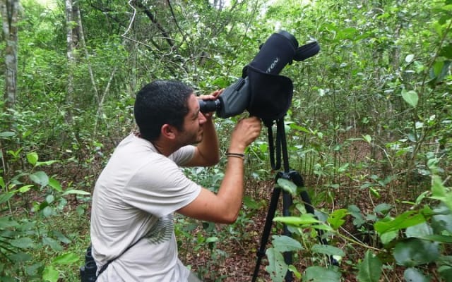 Birdwatching in Sian Ka´an Muyil from Tulum - Shared Group Tour photo 4