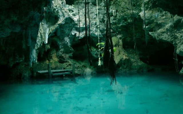 Snorkeling with Caribbean fish and private cenote exploration photo 9
