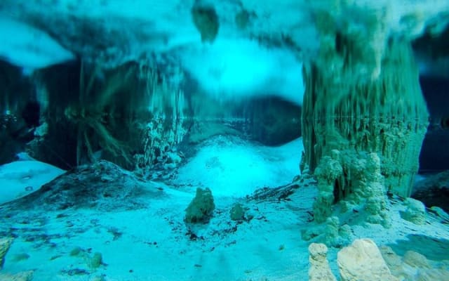 Cenotes and Paradise Lagoon photo 3