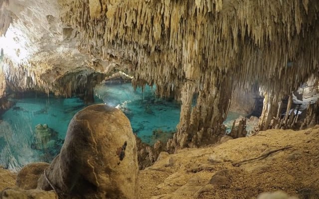 Cenotes and Paradise Lagoon photo 4