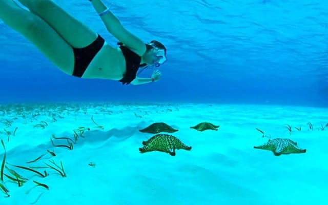 Live this unique snorkeling experience. El Cielo in Cozumel a magical tour. photo 2