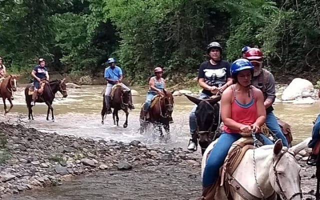 Combo Horse Back Riding and Zip Line in Vallarta