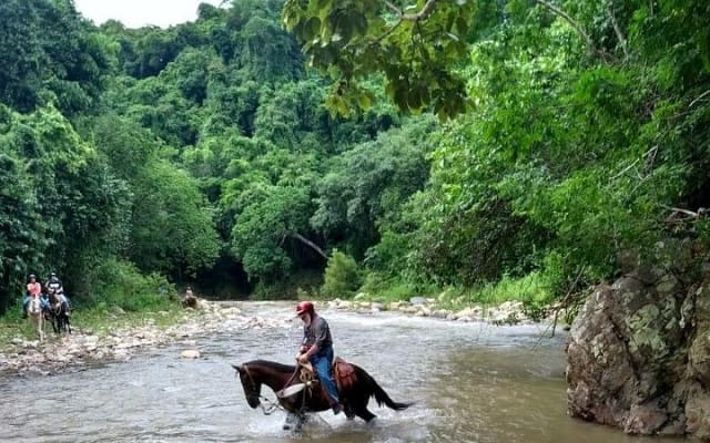Combo de ATV y paseo a caballo en la Sierra Madre photo 2