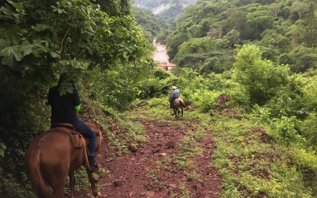Expérience d'équitation dans les montagnes de la Sierra Madre photo 5