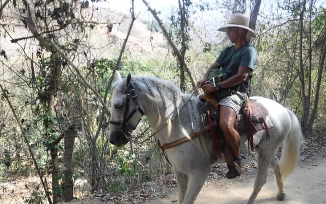 Expérience d'équitation dans les montagnes de la Sierra Madre photo 6