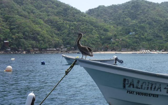 Expérience privée de snorkeling et excursion en bateau à la plage de Las Animas photo 7