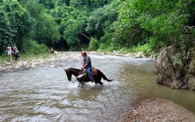 Experience Horse Riding, ATV & Zipline from Puerto Vallarta