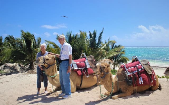 ENJOY UNIQUE CAMEL RIDE in Puerto Morelos with Transportation photo 6