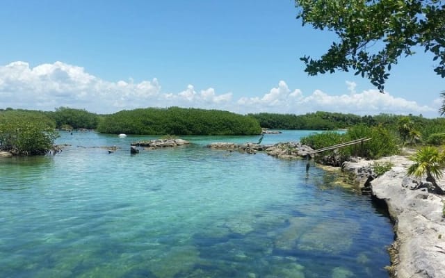 Amazing Cenote Yalku, swim in sacred waters. Transport & Guide photo 4
