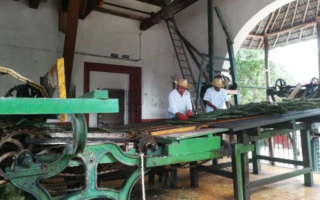 Tour privado: Uxmal y Sotuta de Peón con almuerzo por Yucatan Concierge photo 3