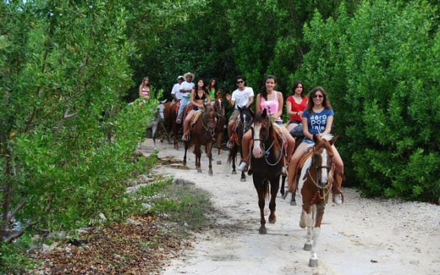 Stroll the Jungle Trails on our Horseback Riding, with transport photo 2